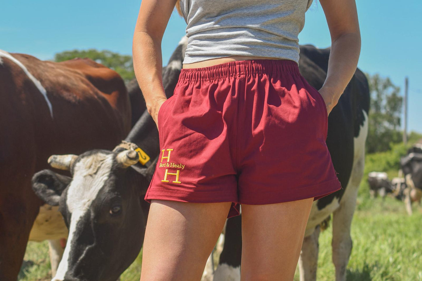 Sandgate Shorts (Burgundy)