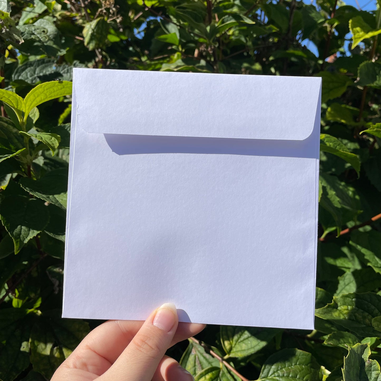 A Sheep’s Christmas Card
