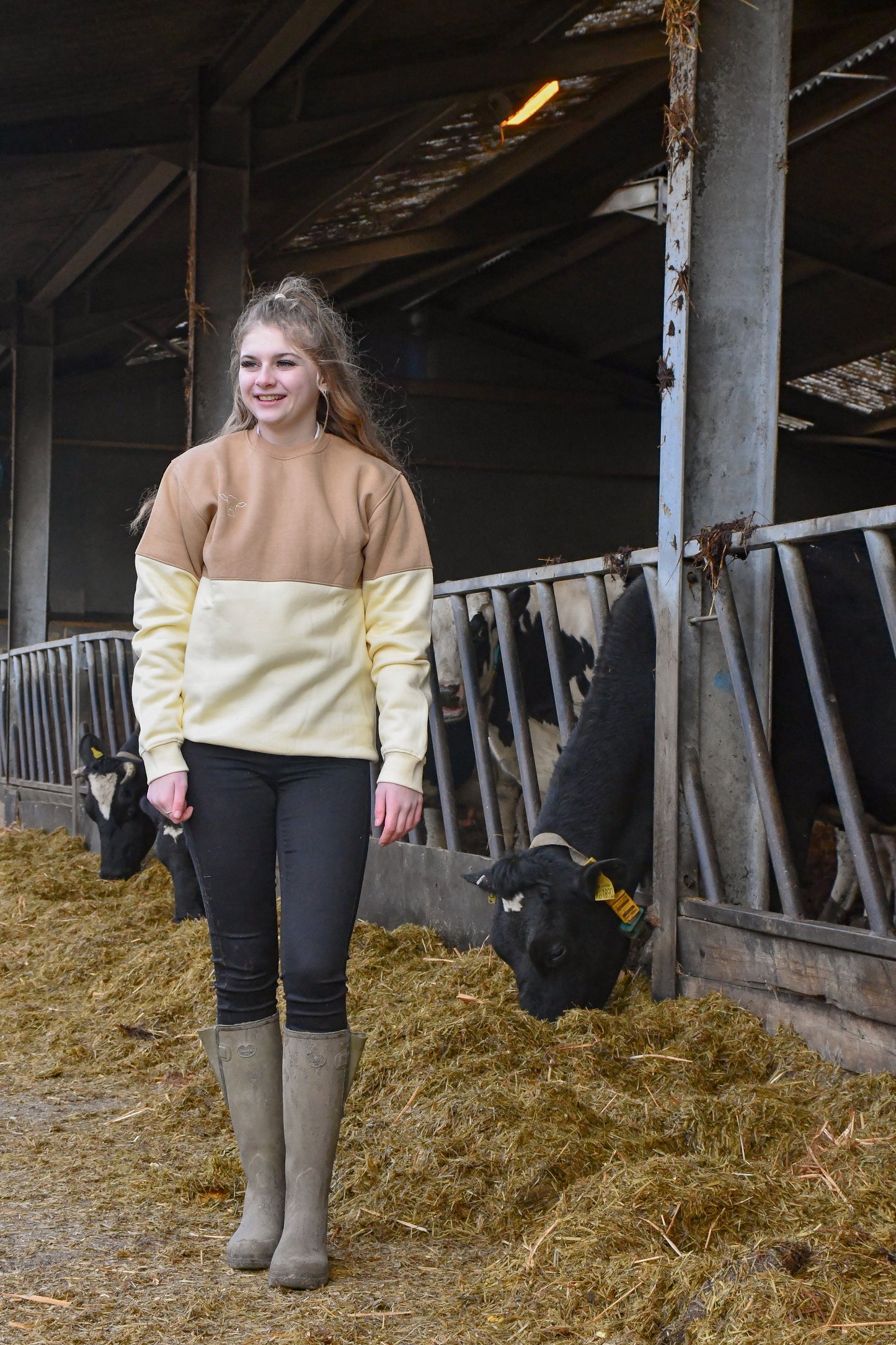 Swanley Sweatshirt (Brown/Cream)