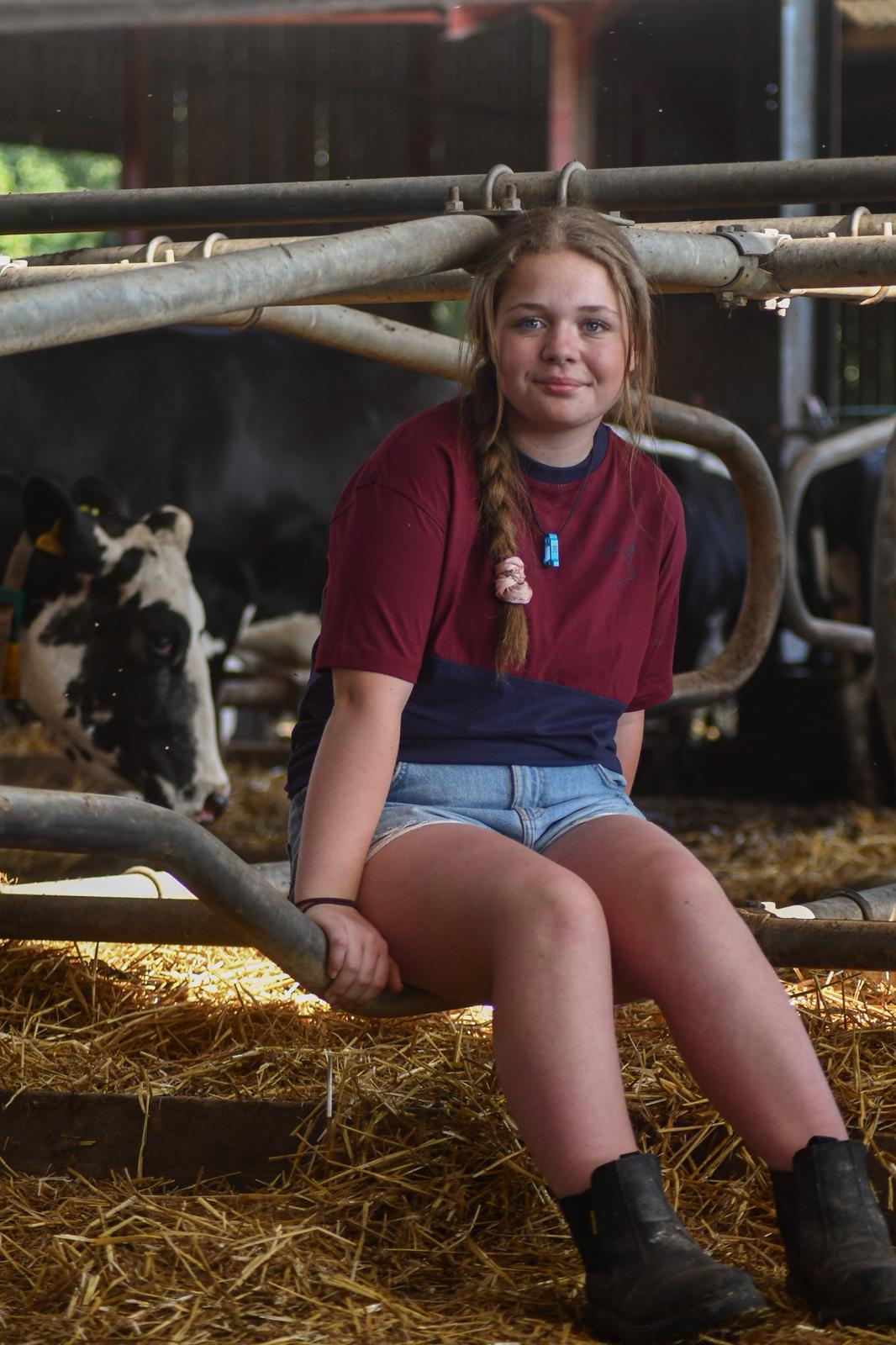 Belted Galloway T-shirt (Burgundy/Navy)