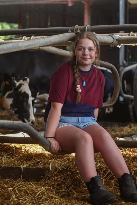 Belted Galloway T-shirt (Burgundy/Navy)