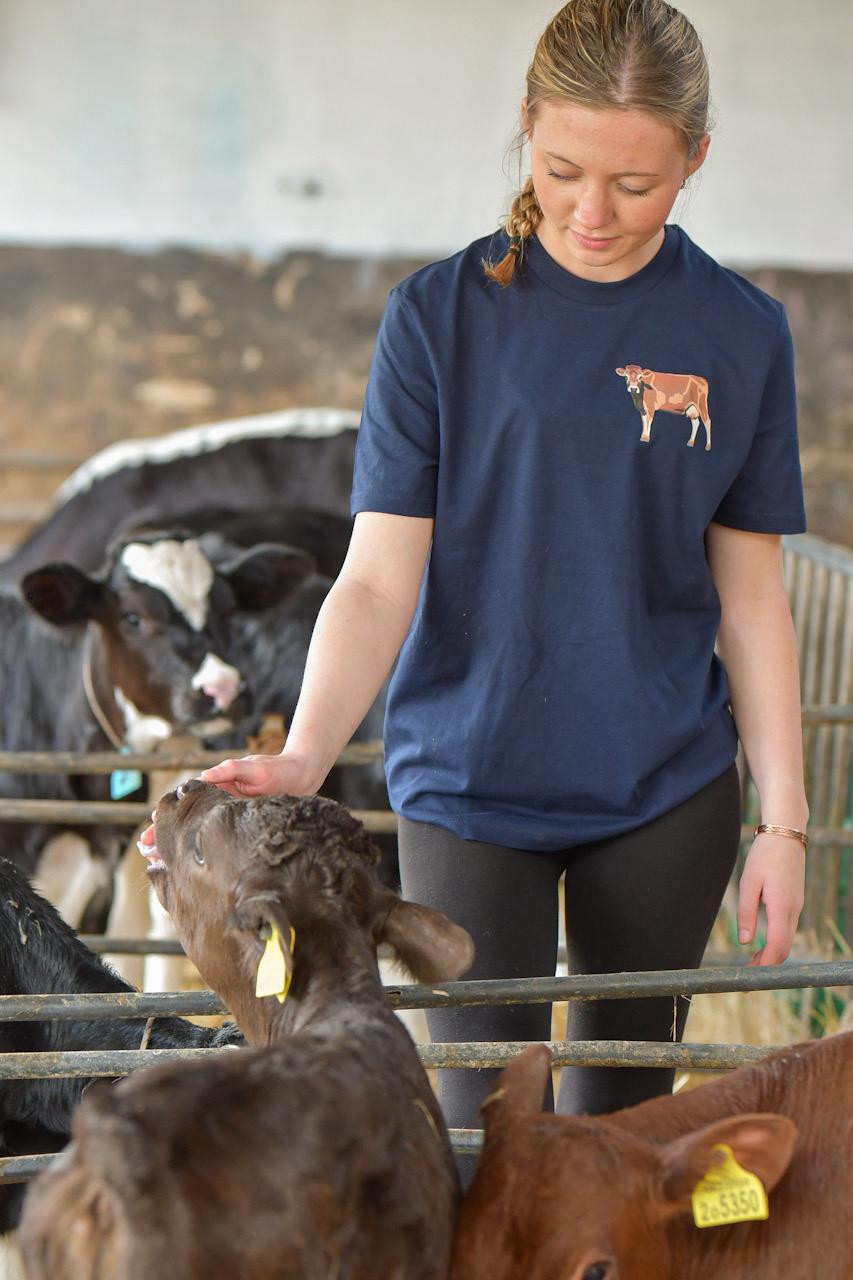 Jersey T-shirt (Adults)