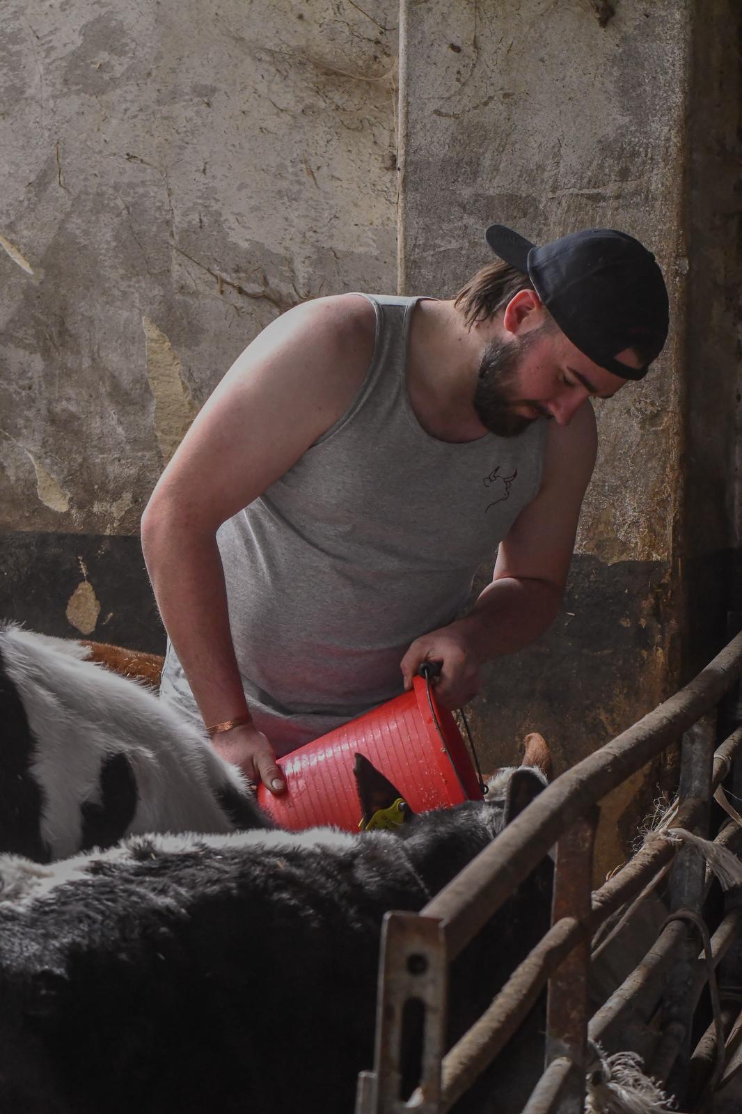 Texel Tank (Grey)