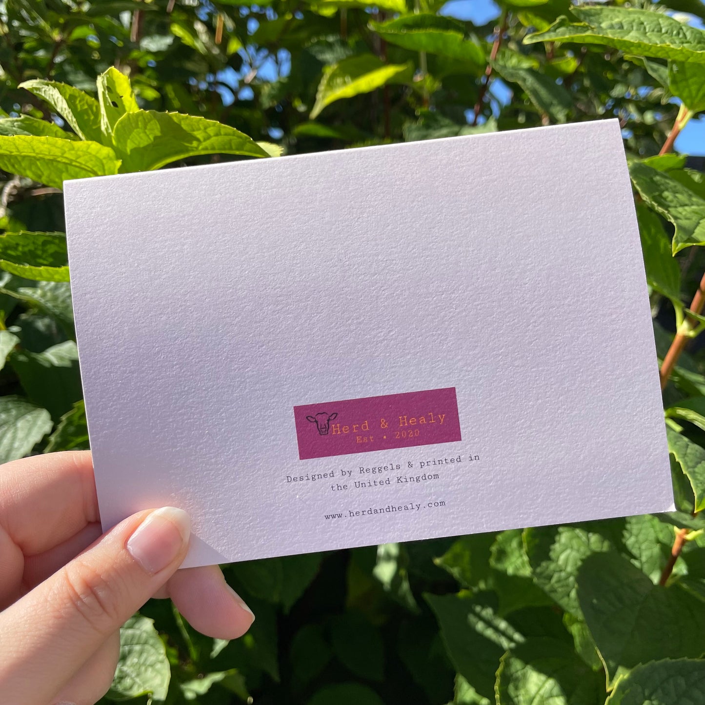 Turkey, Sage & Onion Card