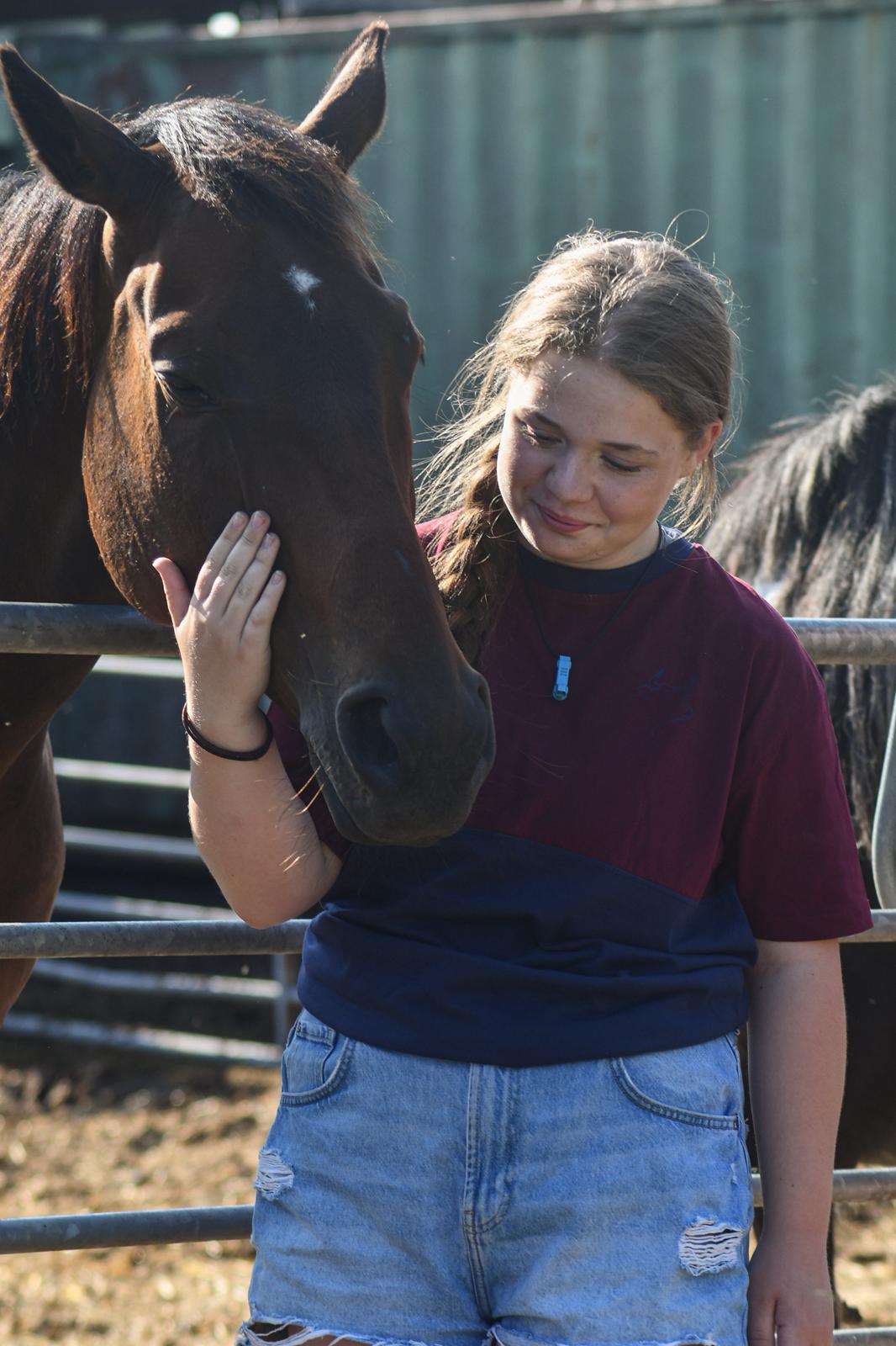 Belted Galloway T-shirt (Burgundy/Navy)