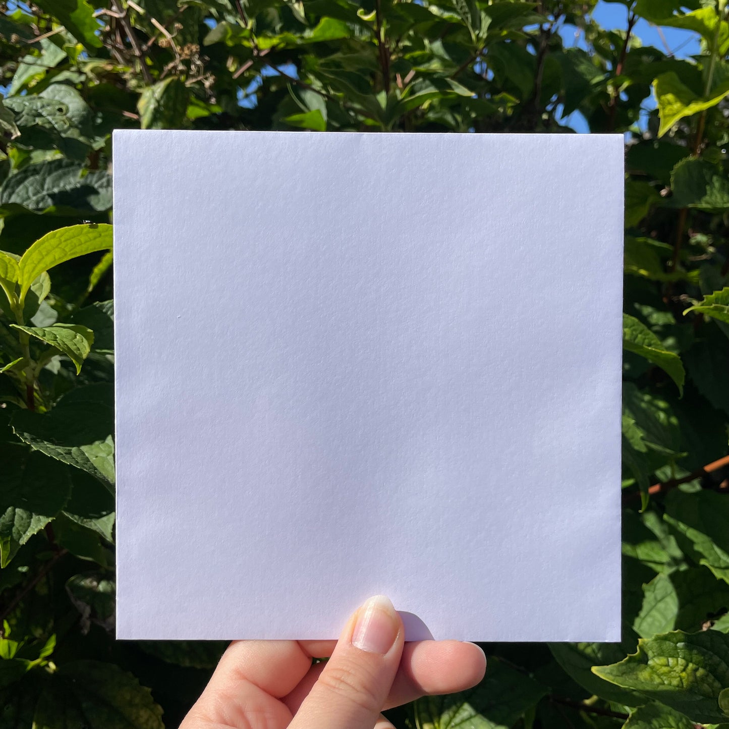 Christmas Tree Card