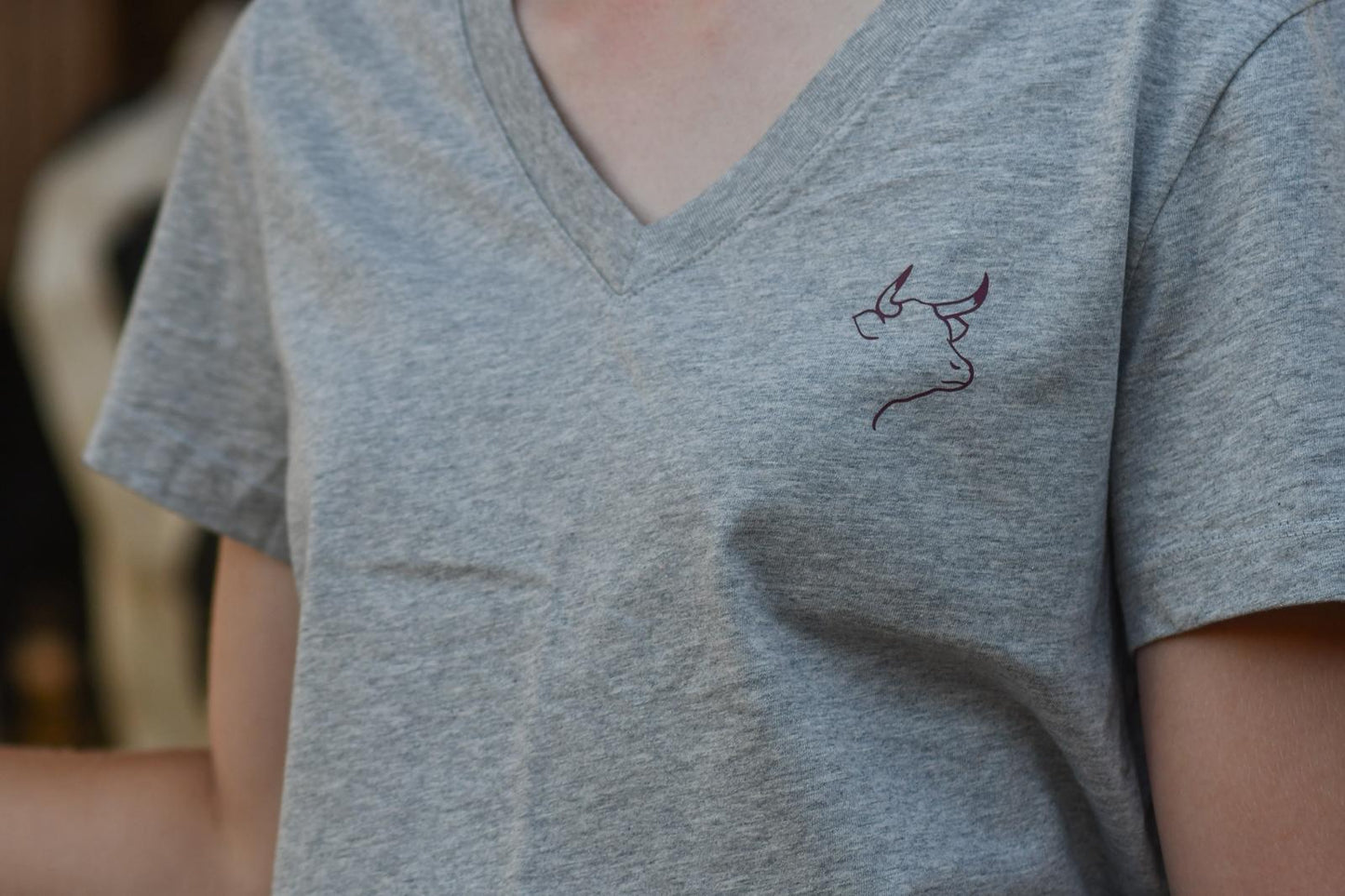 Valais V-Neck T-shirt (Grey)