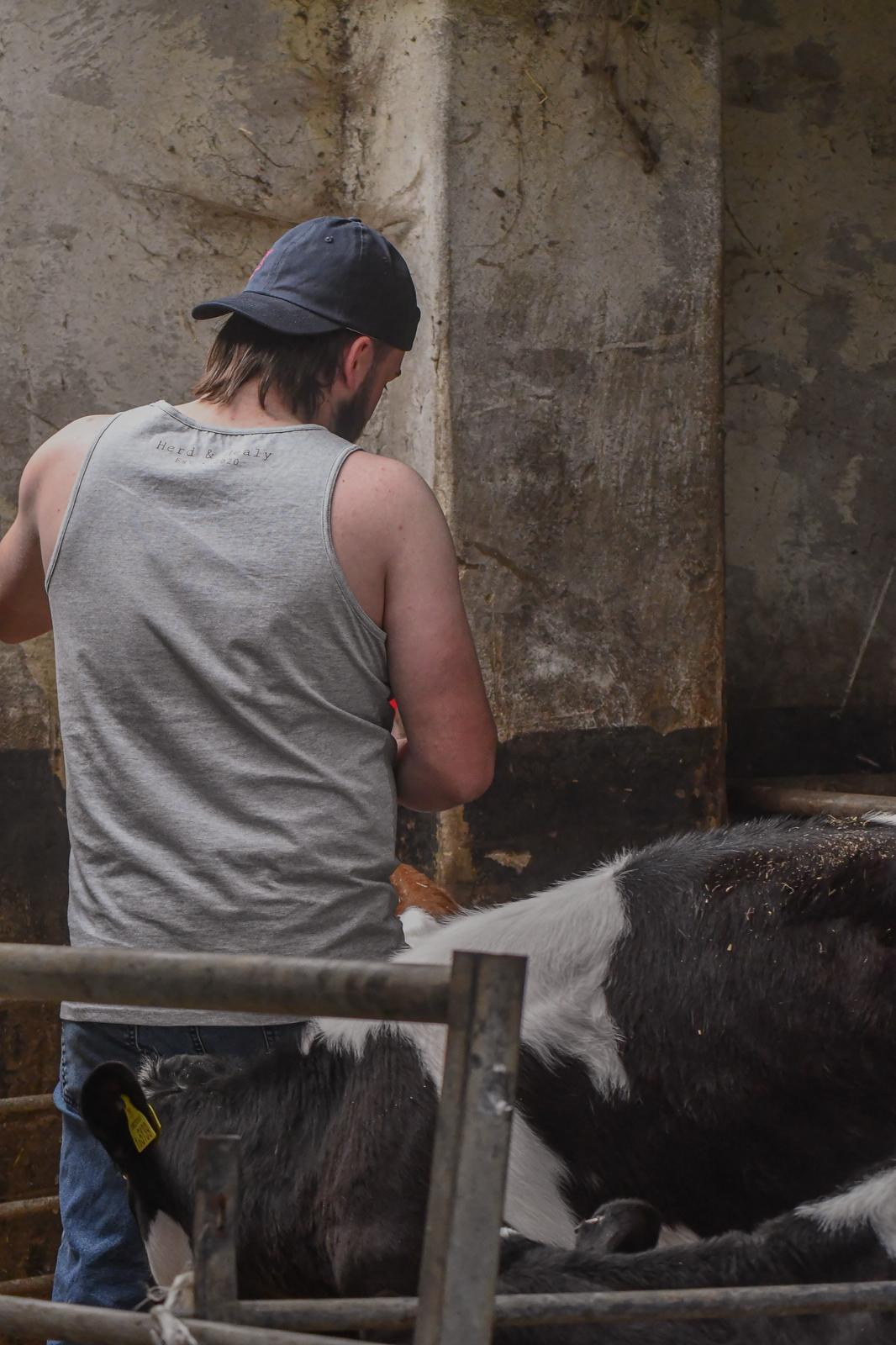 Texel Tank (Grey)