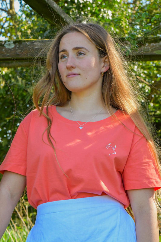 Tudley T-shirt (Fiesta)