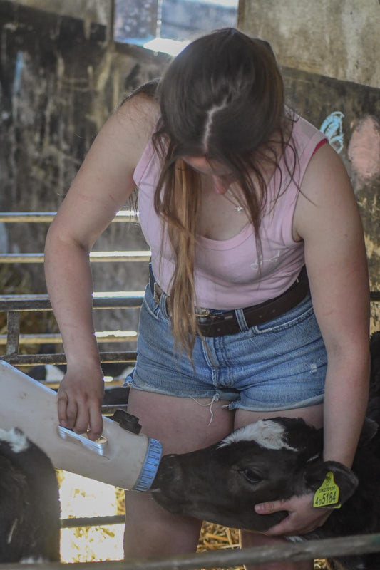 Vaynol Vest (Cotton Pink)