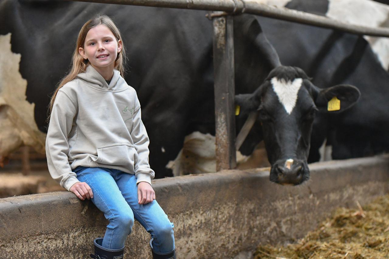 Mini Hereford Hoodie (Natural)