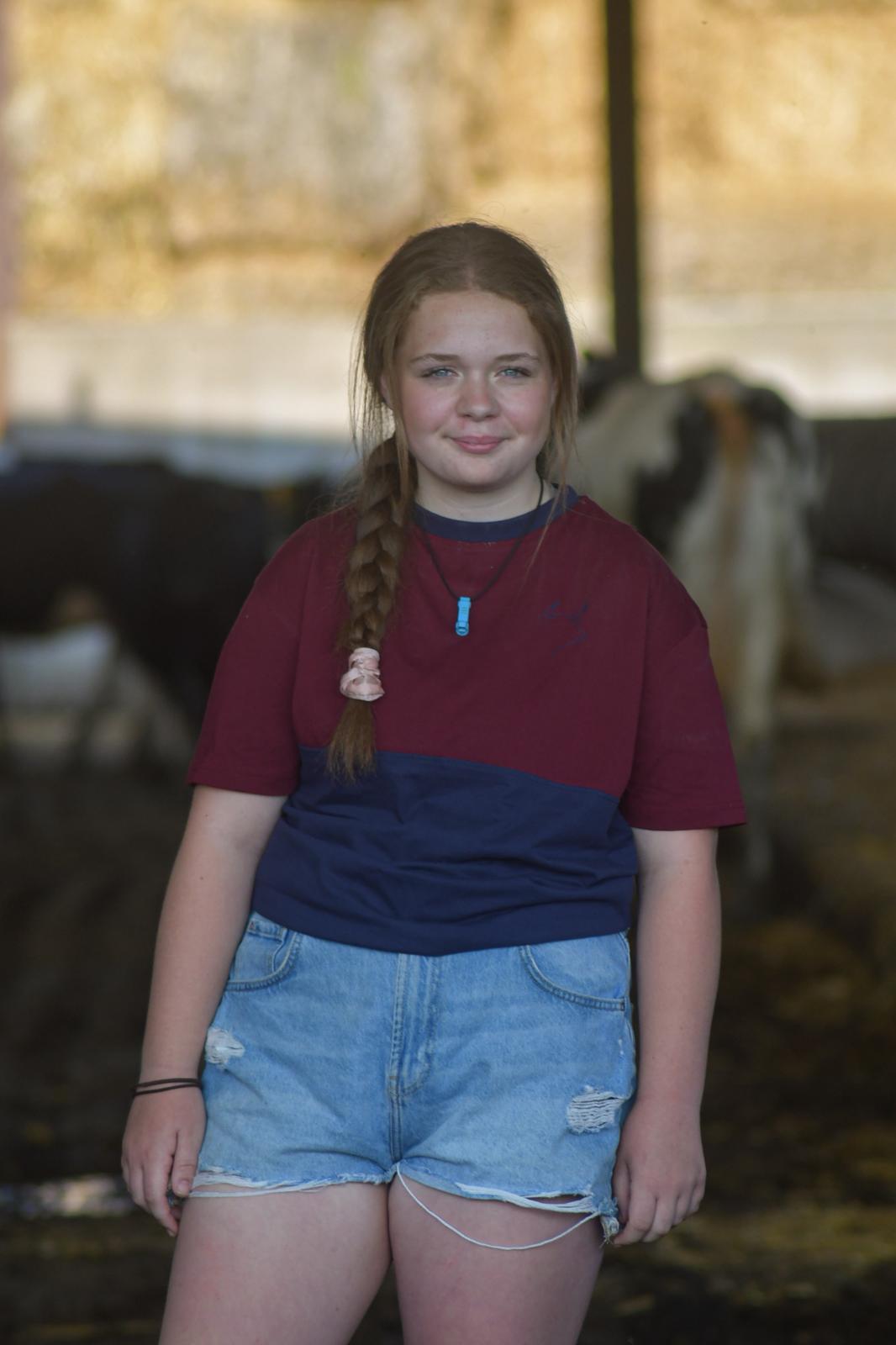 Belted Galloway T-shirt (Burgundy/Navy)