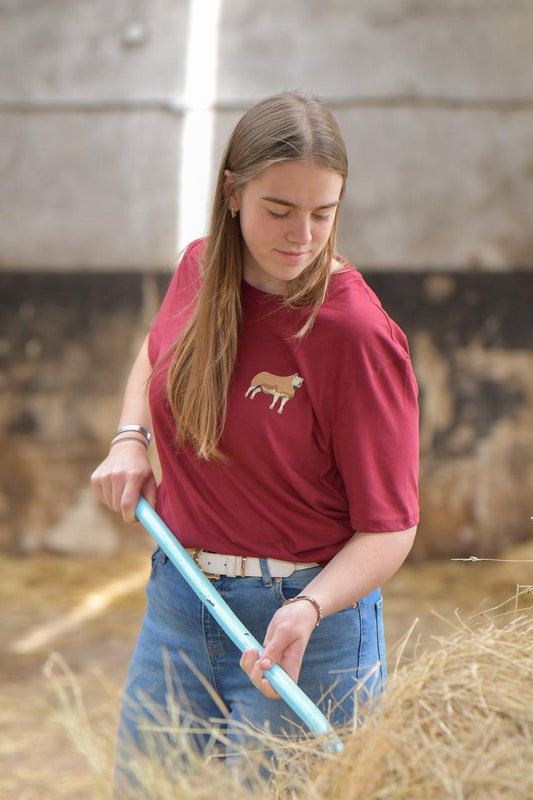 Beltex Sheep T-shirt (Adults)