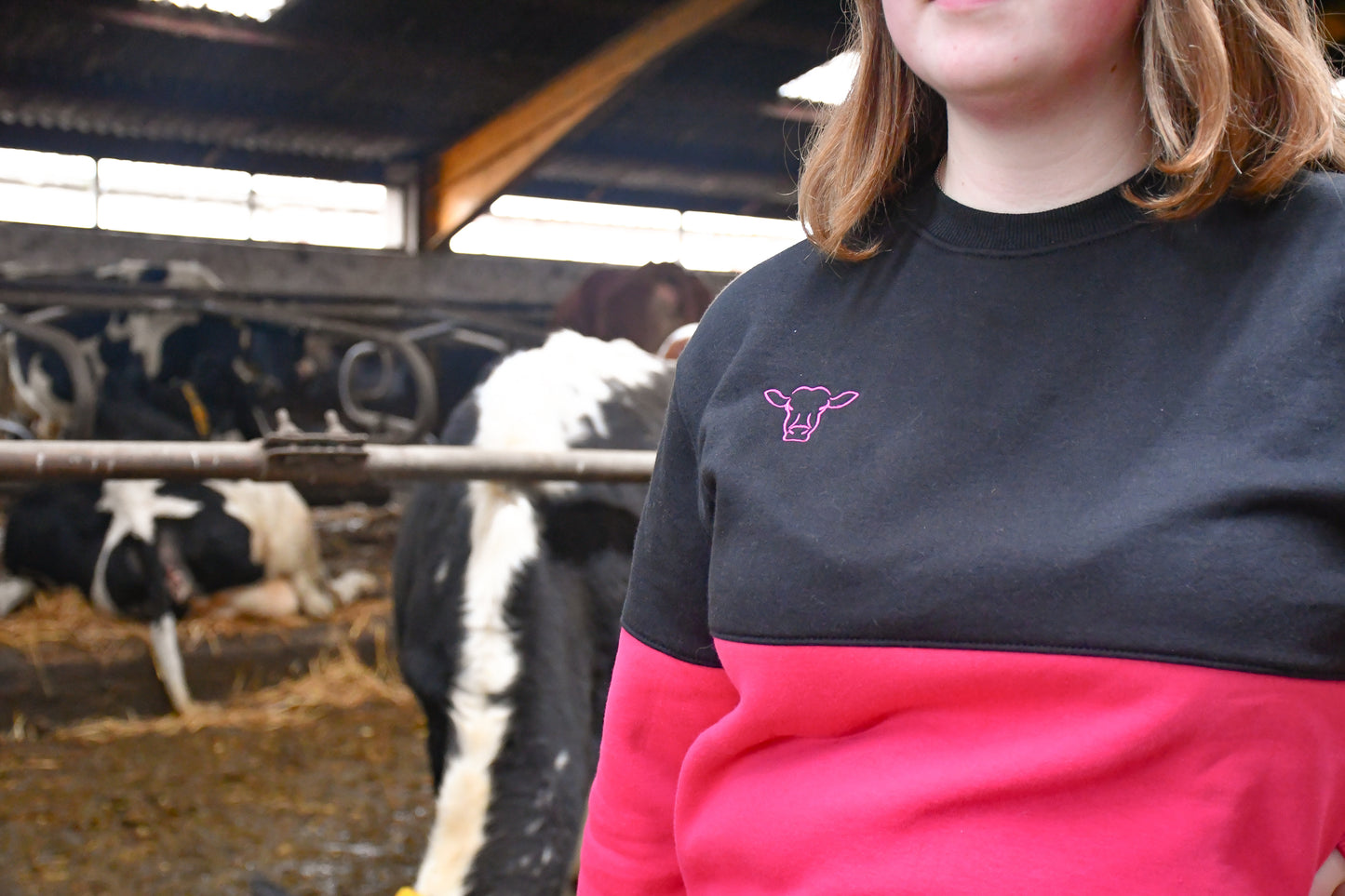 Swanley Sweatshirt (Black/Pink)