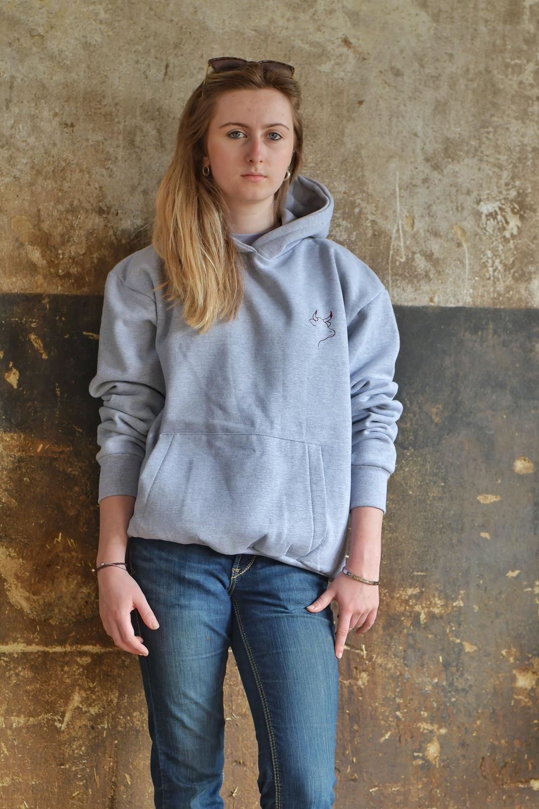 Hereford Hoodie (Grey)